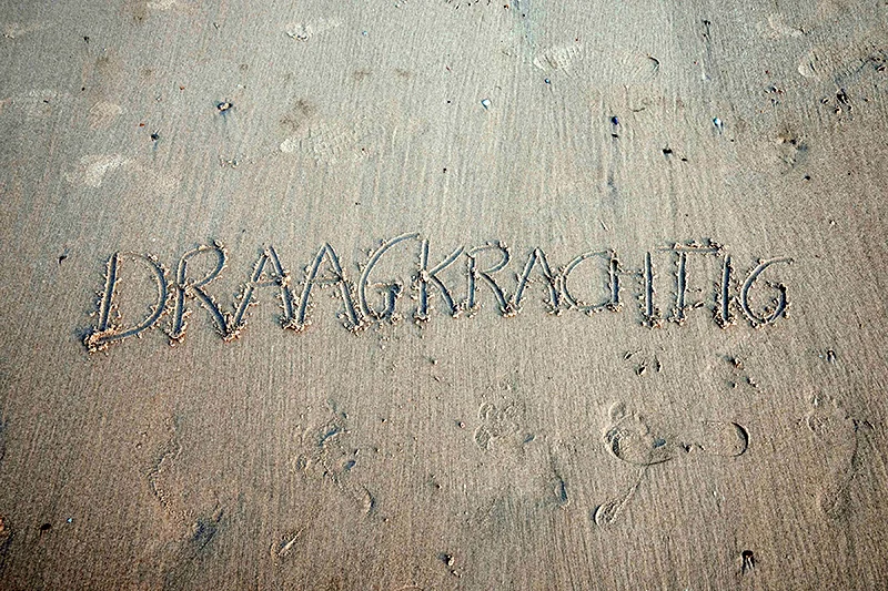 Draagkrachtig, stress- en burn-outcoaching in Sint-Niklaas